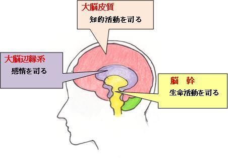 Fbi式読心術 その壱ー基礎知識 読心術の覚え方